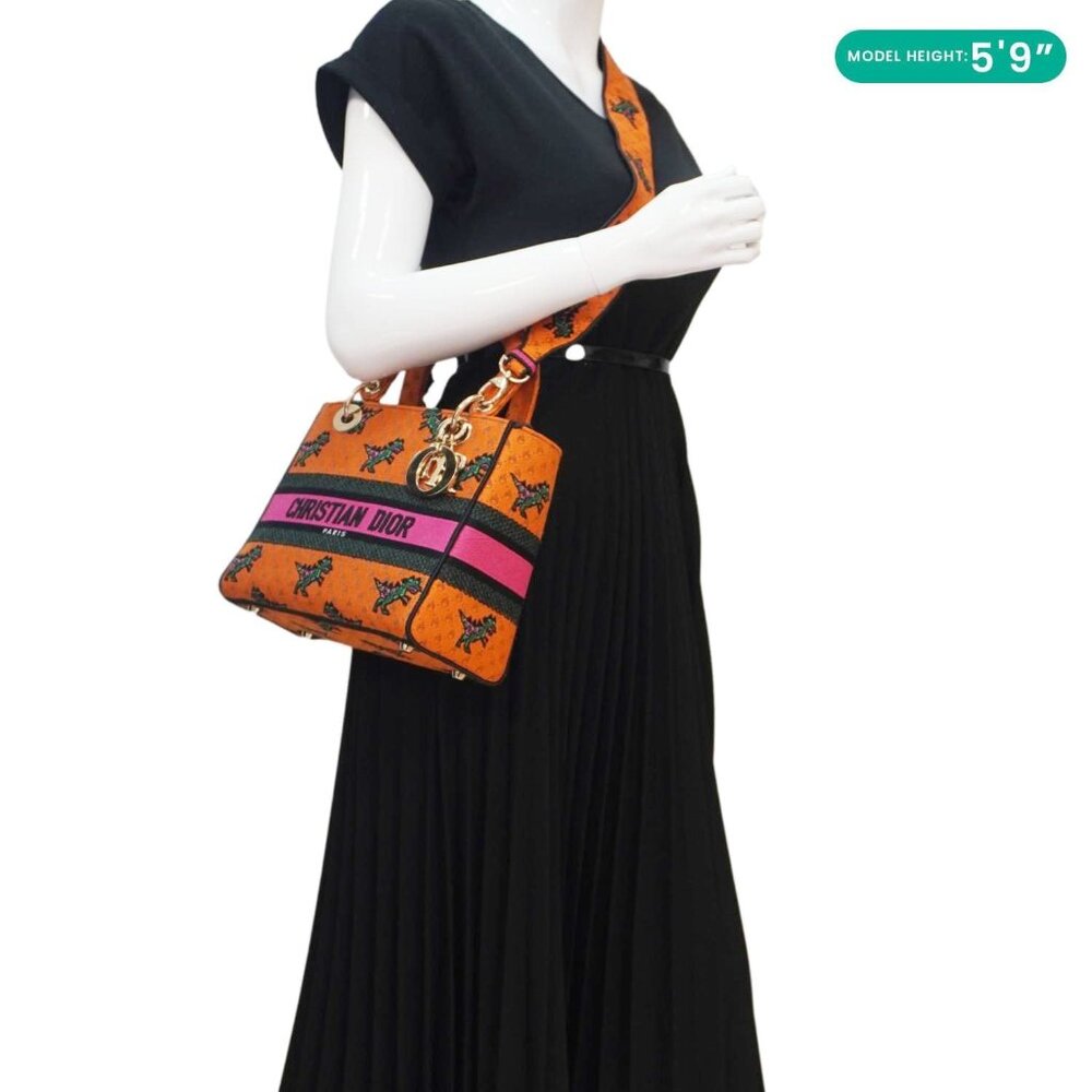 Christian Dior Lady Dior D-Lite Medium Dino Embroidered Shoulder Bag Orange - Picture 2 of 16